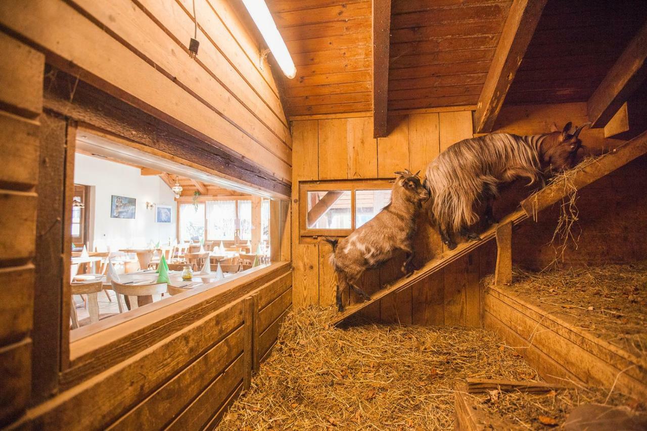 Hotel Restaurant Schoenau Wildhaus Bagian luar foto